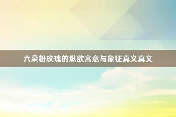 六朵粉玫瑰的纵欲寓意与象征真义真义