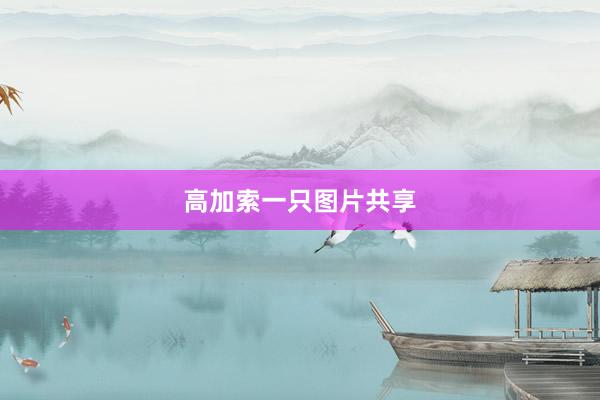高加索一只图片共享