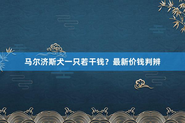 马尔济斯犬一只若干钱？最新价钱判辨