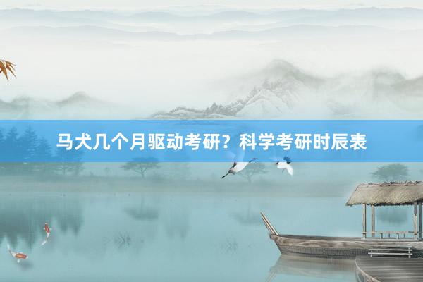 马犬几个月驱动考研？科学考研时辰表
