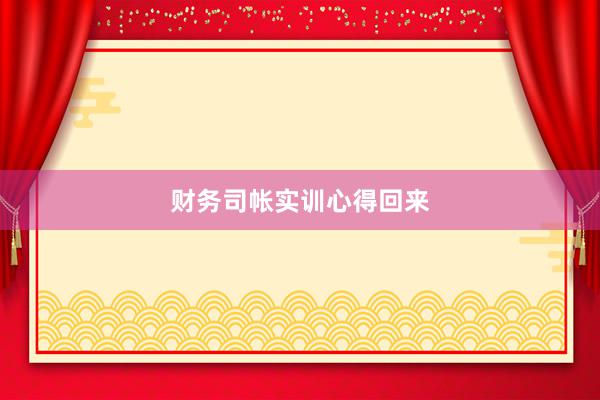 财务司帐实训心得回来
