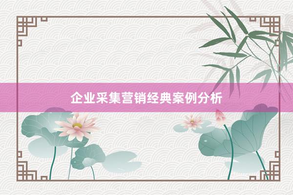 企业采集营销经典案例分析
